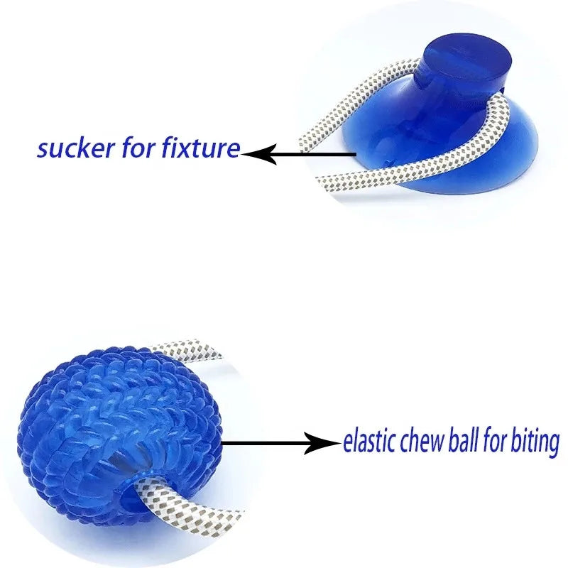 Pet Toys for Small Dogs, Rubber Dog Toy, Dog Push Toy with TPR Ball, Pet Tooth Cleaning Chewing Toy with Suction Cup