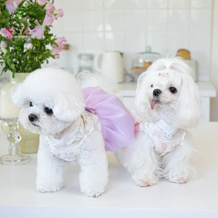 Pet Clothing Dog Dresses Pet Dress Clothing Pet Cat Dog Teddy Dress Fashion for Small Dogs Puppy Clothes Dog Clothes Designer