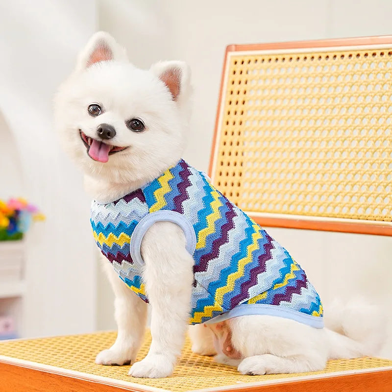 Pet Cat Clothes Breathable Kitty Clothing Dogs Soft Vests Summer Shirt Casual T-Shirt for Small Pet Costume Supplies Wholesale