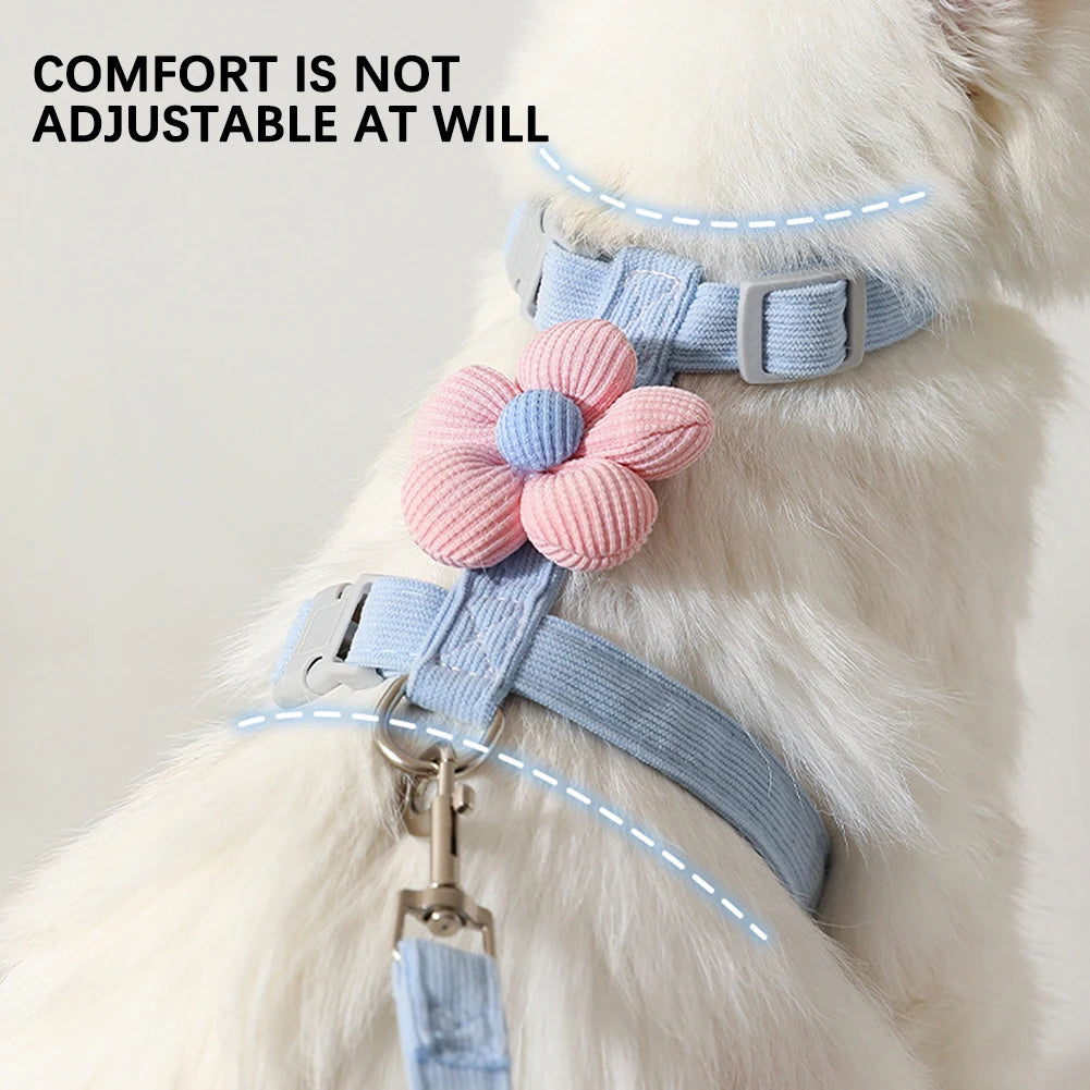 Pet Traction Rope Self Carrier Pet Leash Harness Set Pet Vest Portable Multifunctional Pet Leash For Outdoor Pet Accessories