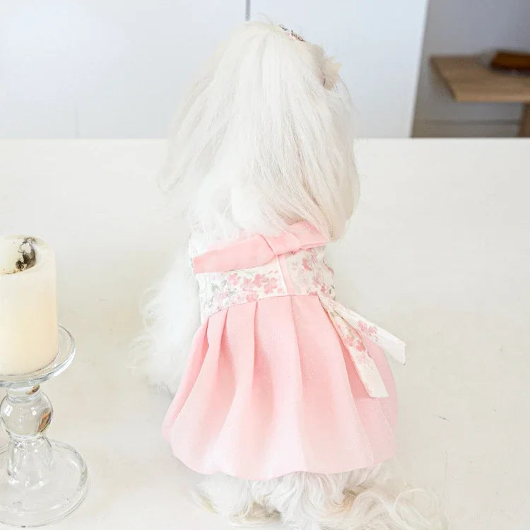 Pet Clothing Dog Dresses Pet Dress Clothing Pet Cat Dog Teddy Dress Fashion for Small Dogs Puppy Clothes Dog Clothes Designer