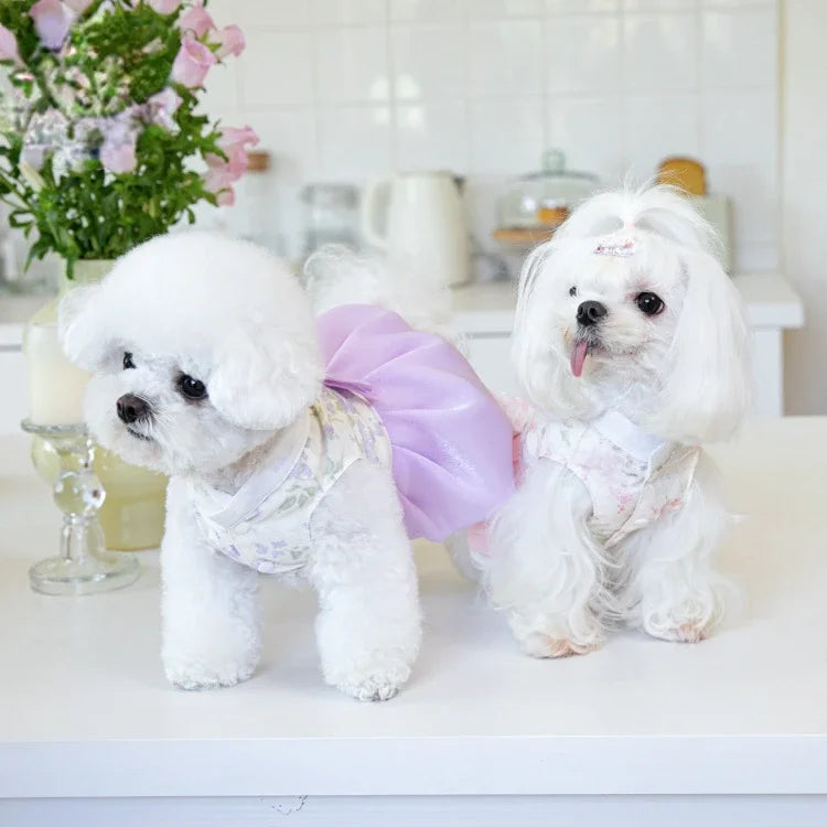 Pet Clothing Dog Dresses Pet Dress Clothing Pet Cat Dog Teddy Dress Fashion for Small Dogs Puppy Clothes Dog Clothes Designer