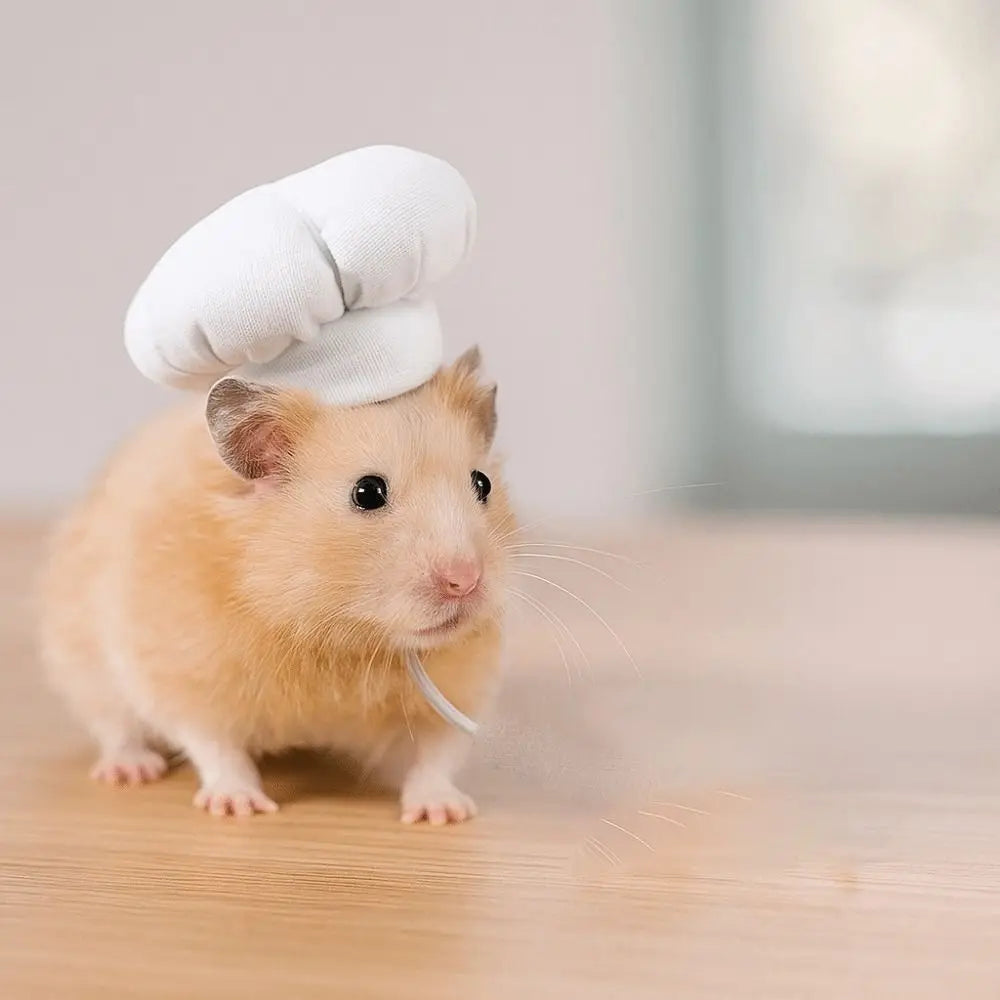 Pet Accessories Adjustable Hamster Chef Hat Comfortable Decorative Pet Costume Hat Breathable Hamster Cosplay Hat Photo Prop