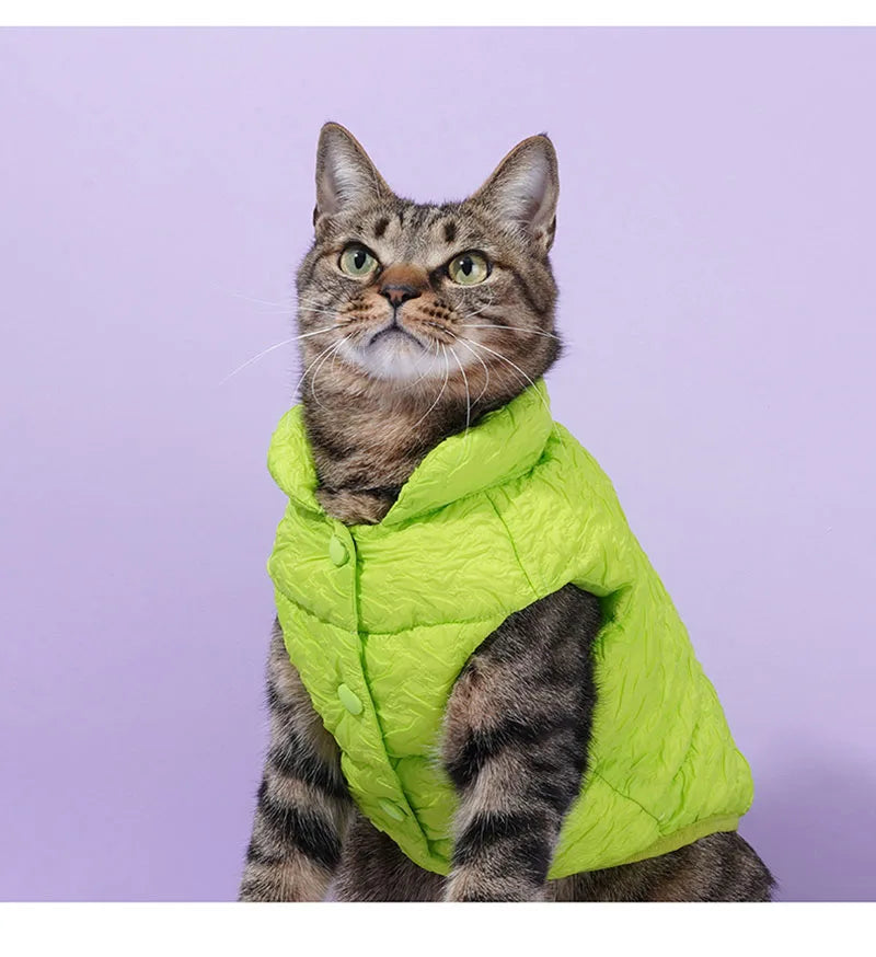 Pet cotton clothing, cat and dog universal clothes, vest, winter warmth, cat winter clothing, autumn and winter new styles, anti