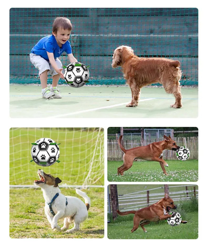 Pet Dog Toys For Small Medium Dogs Cats Portable Puppy Ball Toys with Air Pump Interactive Dog Toys Outdoor Pug Pet Accessories
