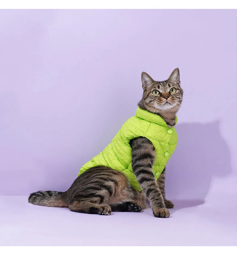 Pet cotton clothing, cat and dog universal clothes, vest, winter warmth, cat winter clothing, autumn and winter new styles, anti
