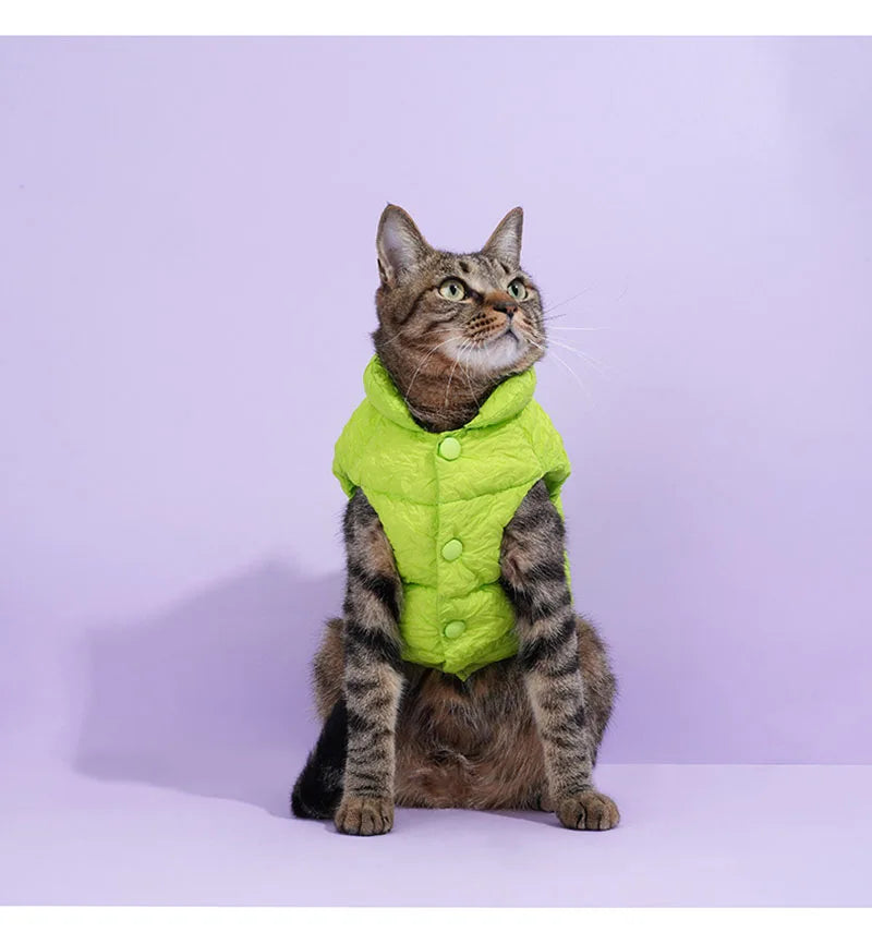 Pet cotton clothing, cat and dog universal clothes, vest, winter warmth, cat winter clothing, autumn and winter new styles, anti