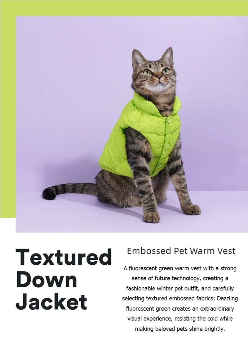 Pet cotton clothing, cat and dog universal clothes, vest, winter warmth, cat winter clothing, autumn and winter new styles, anti