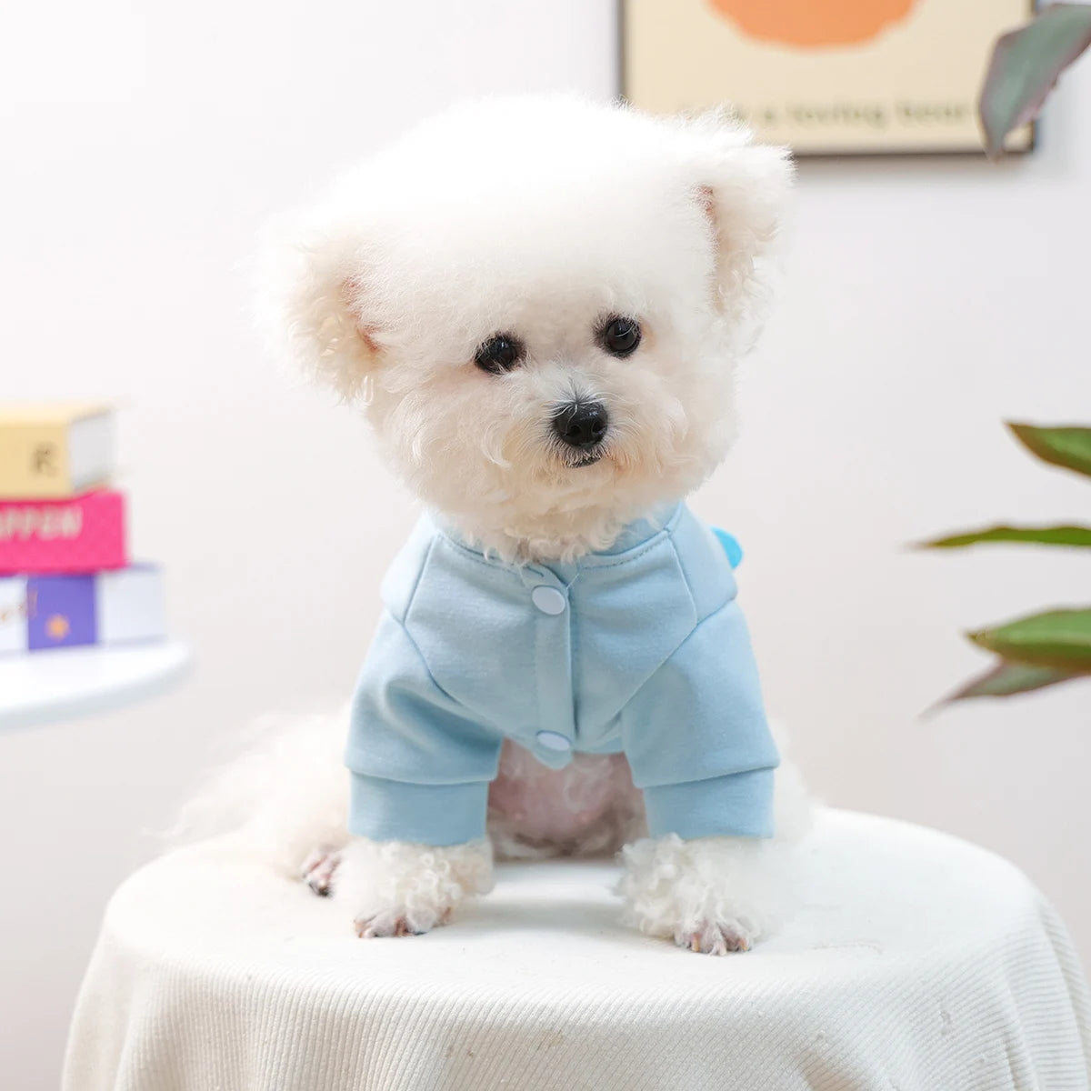 Pet Clothes, Dog and Cat Two-legged Clothing, Cute Cartoon Sweater-elephant, New Thermal Jacket for Autumn and Winter