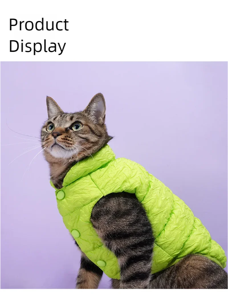 Pet cotton clothing, cat and dog universal clothes, vest, winter warmth, cat winter clothing, autumn and winter new styles, anti