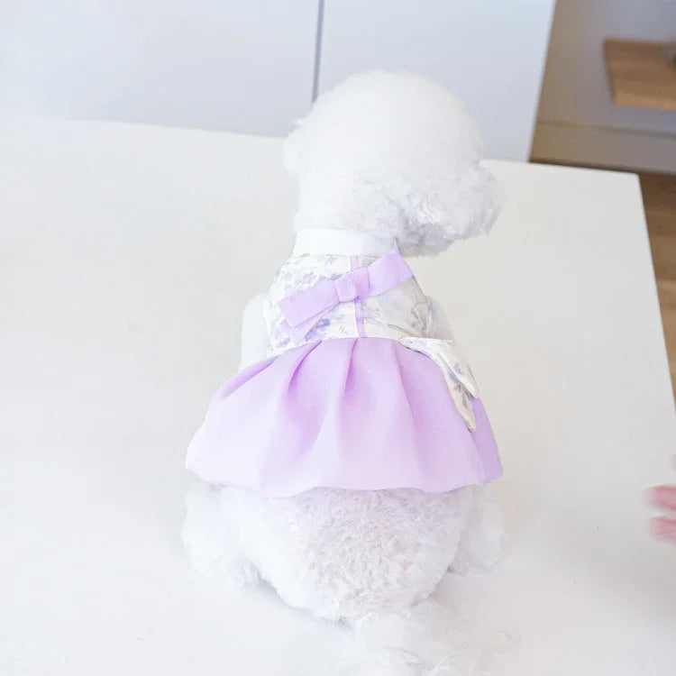 Pet Clothing Dog Dresses Pet Dress Clothing Pet Cat Dog Teddy Dress Fashion for Small Dogs Puppy Clothes Dog Clothes Designer