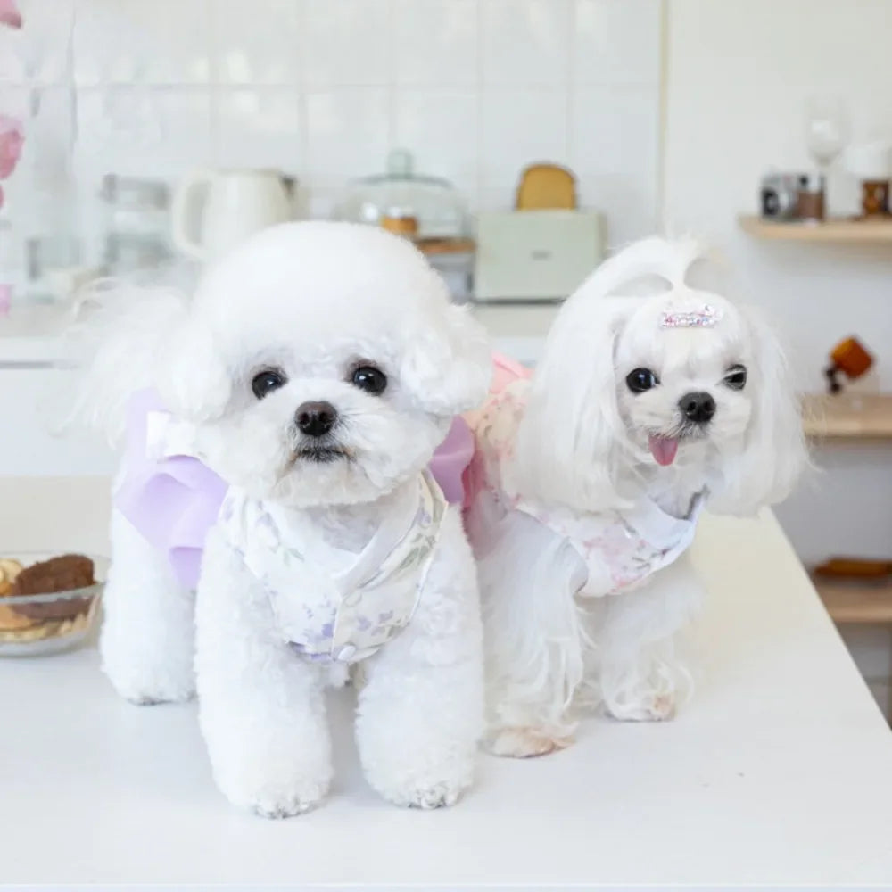 Pet Clothing Dog Dresses Pet Dress Clothing Pet Cat Dog Teddy Dress Fashion for Small Dogs Puppy Clothes Dog Clothes Designer